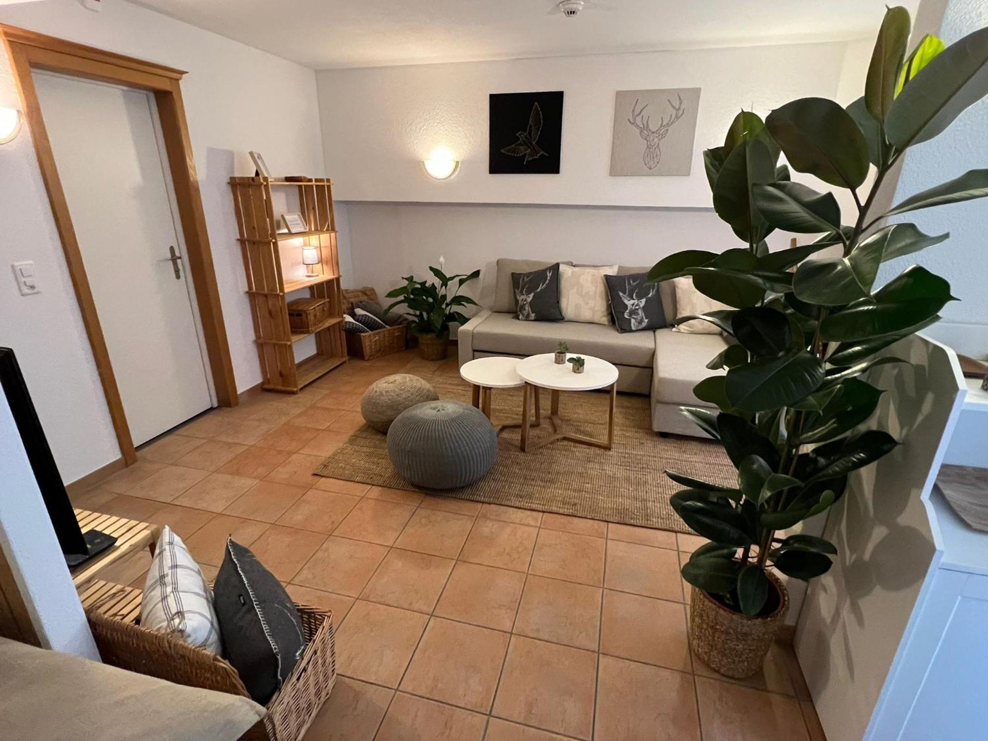 Spannort Family Home With Common Kitchen And Self Check-In Энгельберг Экстерьер фото